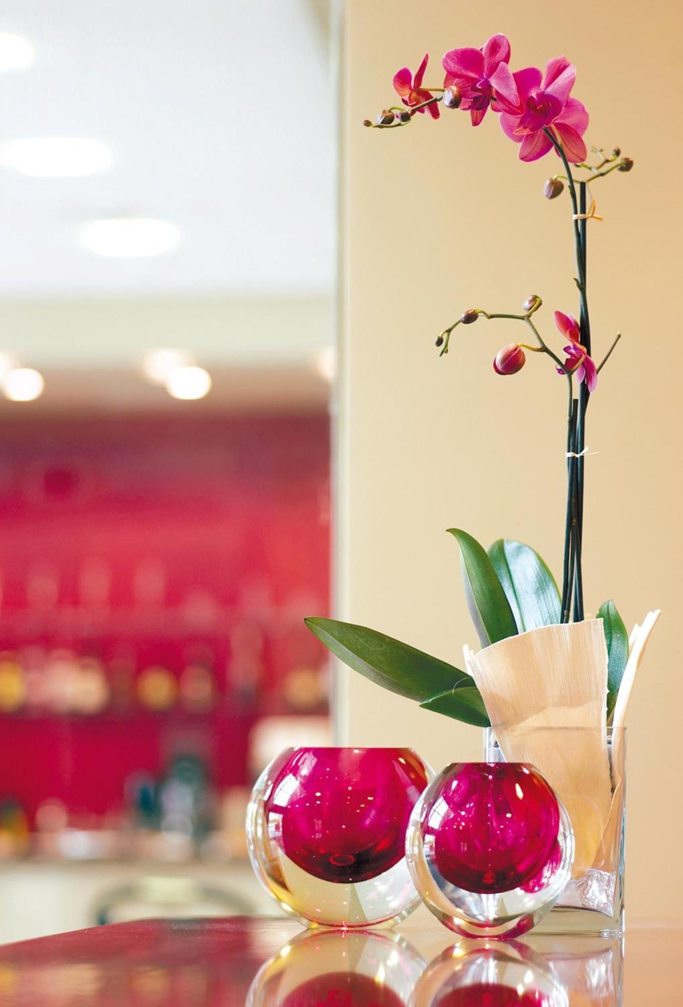 Apartment Hesperia Fira *